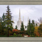 Portland Temple Forest Through The Trees