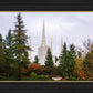 Portland Temple Forest Through The Trees