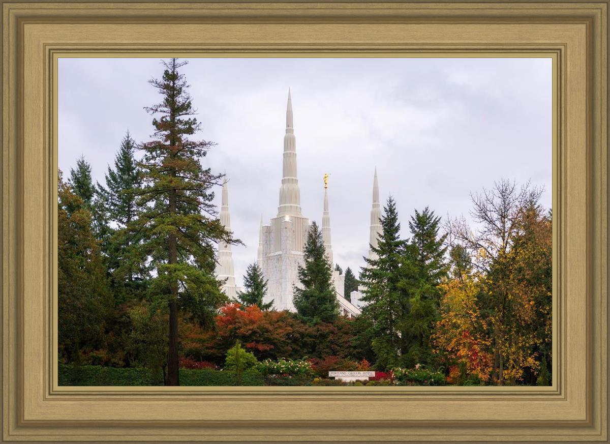 Portland Temple Forest Through The Trees
