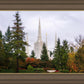 Portland Temple Forest Through The Trees