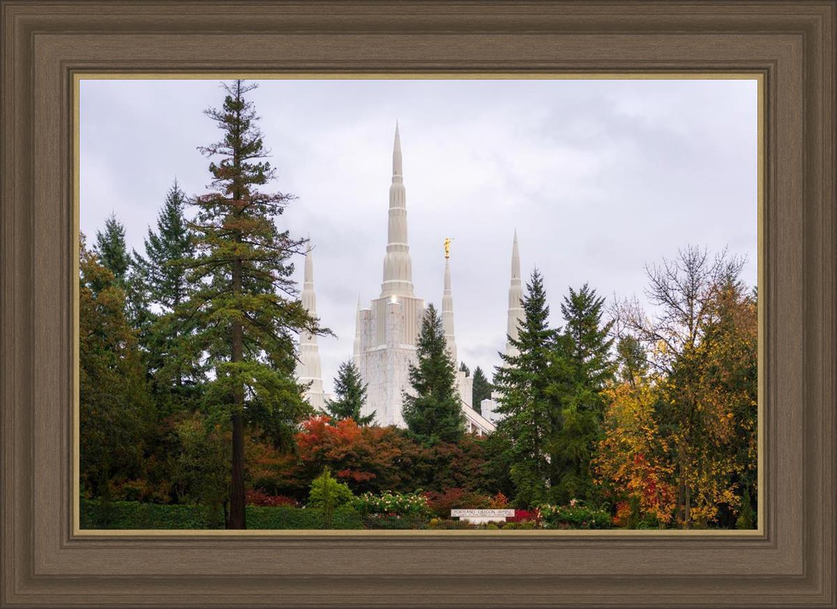 Portland Temple Forest Through The Trees