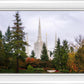 Portland Temple Forest Through The Trees