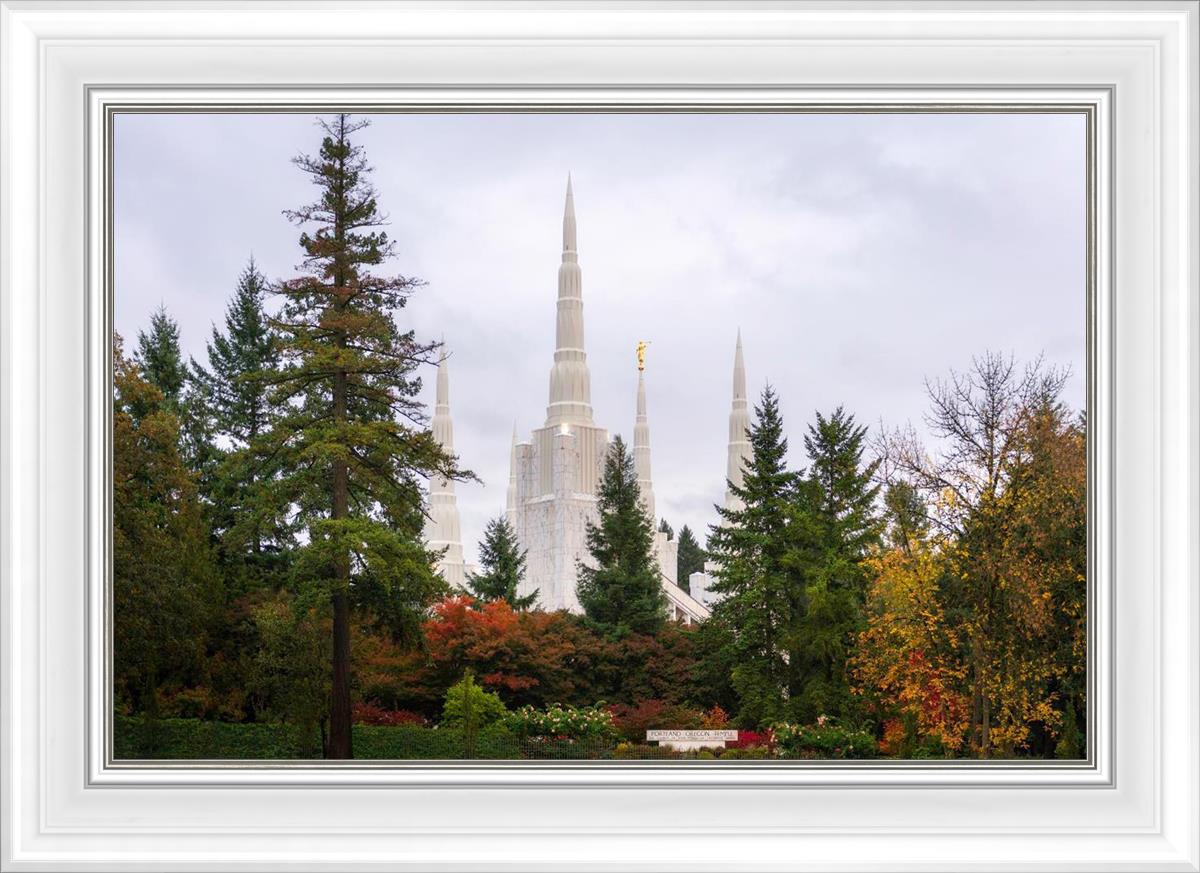 Portland Temple Forest Through The Trees
