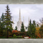 Portland Temple Forest Through The Trees