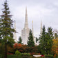 Portland Temple Forest Through The Trees