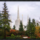 Portland Temple Forest Through The Trees