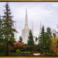 Portland Temple Forest Through The Trees