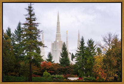 Portland Temple Forest Through The Trees