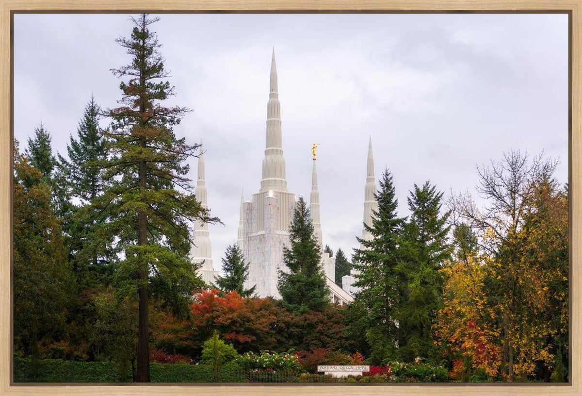 Portland Temple Forest Through The Trees Gallery Wrap