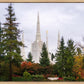Portland Temple Forest Through The Trees
