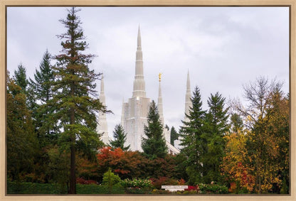 Portland Temple Forest Through The Trees