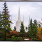 Portland Temple Forest Through The Trees