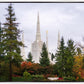 Portland Temple Forest Through The Trees