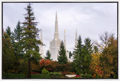 Portland Temple Forest Through The Trees
