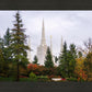 Portland Temple Forest Through The Trees