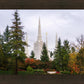Portland Temple Forest Through The Trees