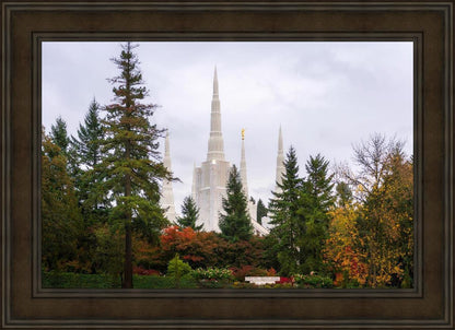 Portland Temple Forest Through The Trees