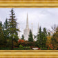 Portland Temple Forest Through The Trees