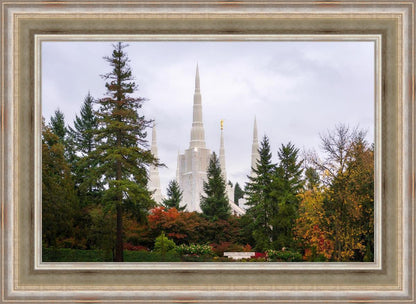 Portland Temple Forest Through The Trees
