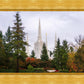 Portland Temple Forest Through The Trees