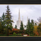 Portland Temple Forest Through The Trees