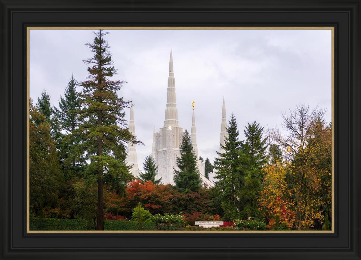 Portland Temple Forest Through The Trees