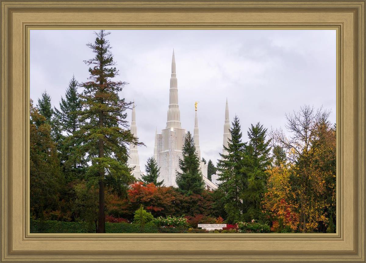 Portland Temple Forest Through The Trees