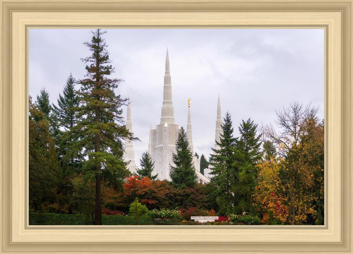 Portland Temple Forest Through The Trees