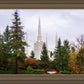 Portland Temple Forest Through The Trees