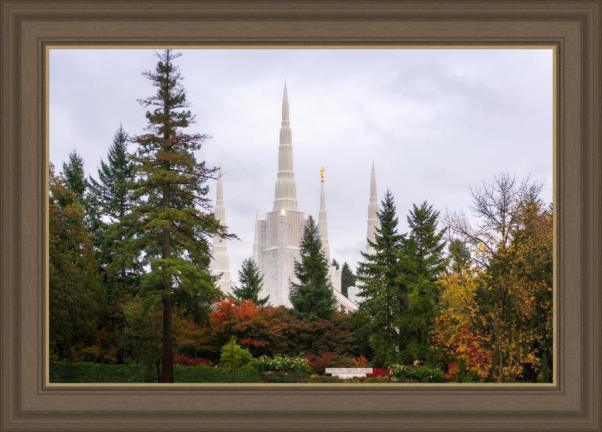 Portland Temple Forest Through The Trees