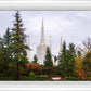 Portland Temple Forest Through The Trees