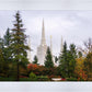 Portland Temple Forest Through The Trees