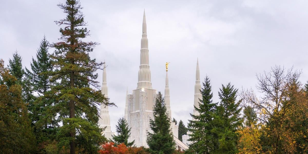 Portland Temple Forest Through The Trees Gallery Wrap