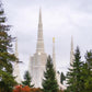 Portland Temple Forest Through The Trees