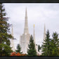 Portland Temple Forest Through The Trees