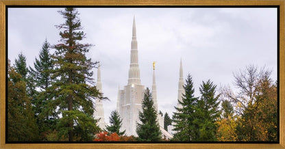 Portland Temple Forest Through The Trees