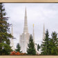 Portland Temple Forest Through The Trees