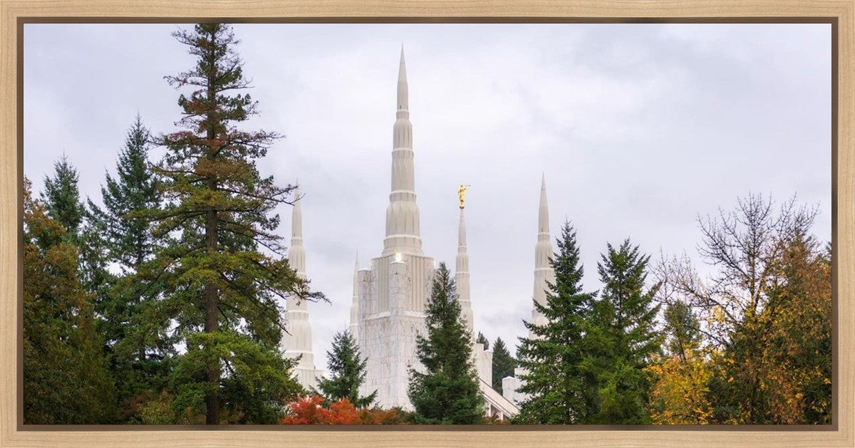 Portland Temple Forest Through The Trees