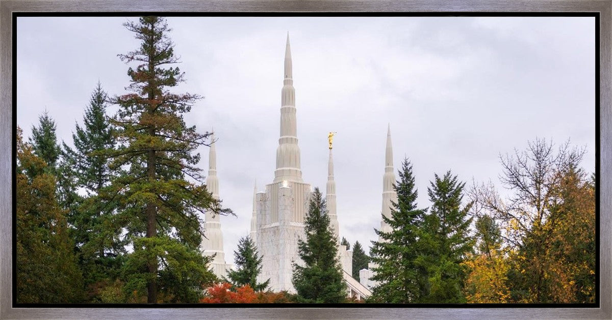 Portland Temple Forest Through The Trees Gallery Wrap