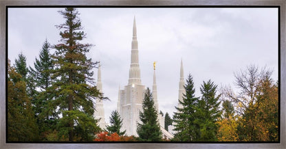 Portland Temple Forest Through The Trees