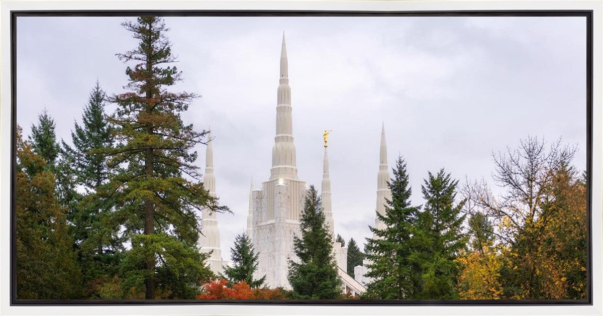 Portland Temple Forest Through The Trees Gallery Wrap