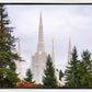 Portland Temple Forest Through The Trees