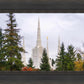 Portland Temple Forest Through The Trees