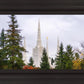 Portland Temple Forest Through The Trees
