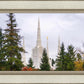 Portland Temple Forest Through The Trees