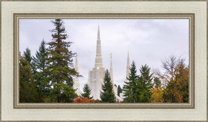 Portland Temple Forest Through The Trees