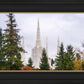 Portland Temple Forest Through The Trees