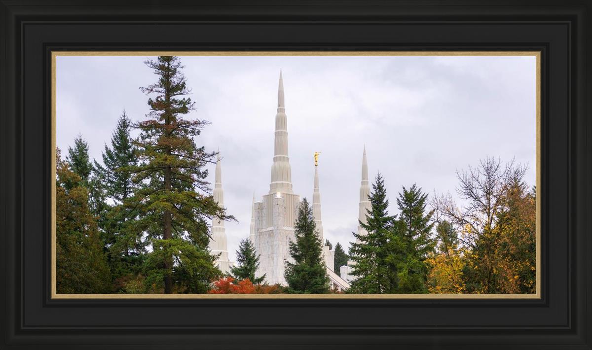 Portland Temple Forest Through The Trees