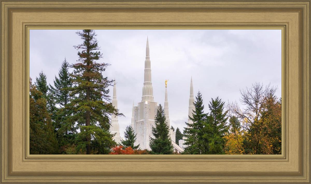 Portland Temple Forest Through The Trees