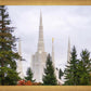 Portland Temple Forest Through The Trees